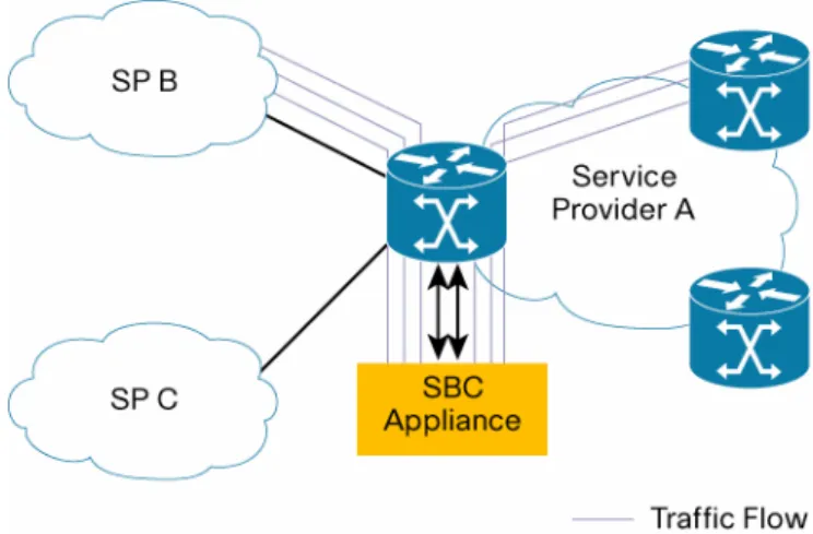 Figure 3.  A Standalone SBC Appliance 