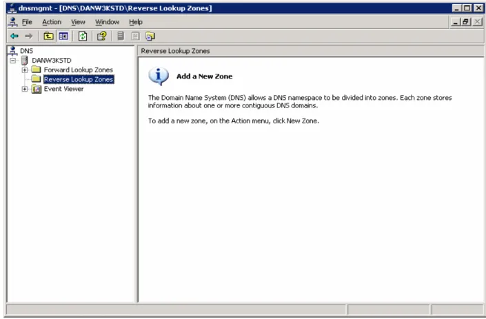 Figure 2: DNS Manager Window (Windows 2003) 