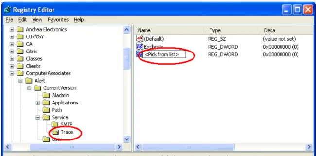 Fig 17. Registry entry for debug mode.  