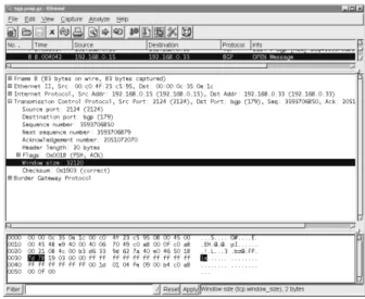 Figure 4.5  Data View Window Byte Selection