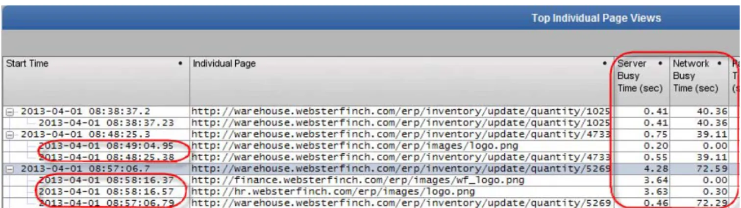 Figure 3-1 New Metrics and Page-Resource Drilldowns in “Top Individual Page Views” Table