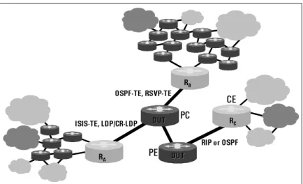 Figure 9: A Complete Network Test Scenario - Control Traffic and data at line speeds