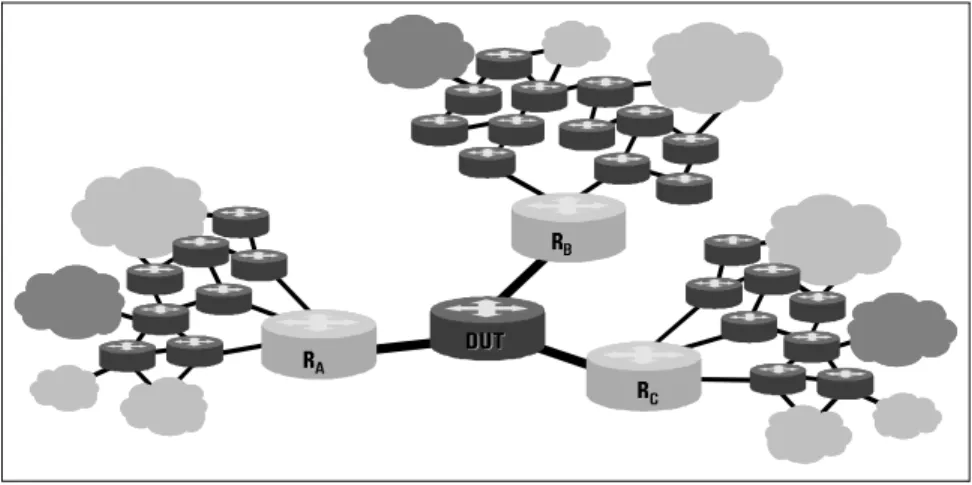 Figure 3: A typical test network with emulated elements