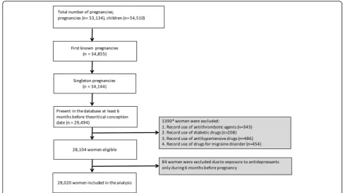 Fig. 1 Flow diagram for participants’ selection in the analysis. *One woman could expose to multiple drugs listed in exclusion criteria