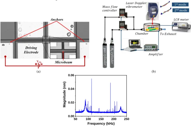 Fig. 1.  (a) A top view image of the tested in-plane clamped-clamped microbeam. (b) A schematic of the experimental setup