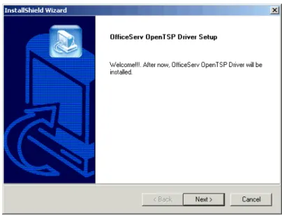 Figure 2.11  Installation Window 