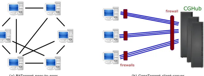Figure 2.1: Comparison of peer-to-peer and GeneTorrent network architectures. In (a), a peer-to-peer appli- appli-cation has no central server, with all nodes being able to talk directly to any other node using the BitTorrent protocol