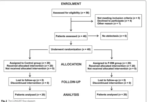 Fig. 2 The CONSORT flow diagram