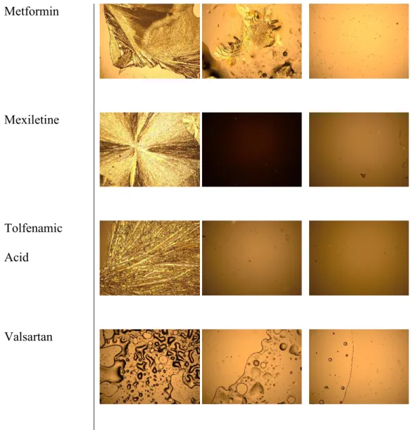 Figure 2. Optical micrographs (with automatic intensity adjustment) showing API samples after 