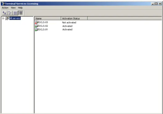 Figure 2 – Terminal Services Licensing Tool 