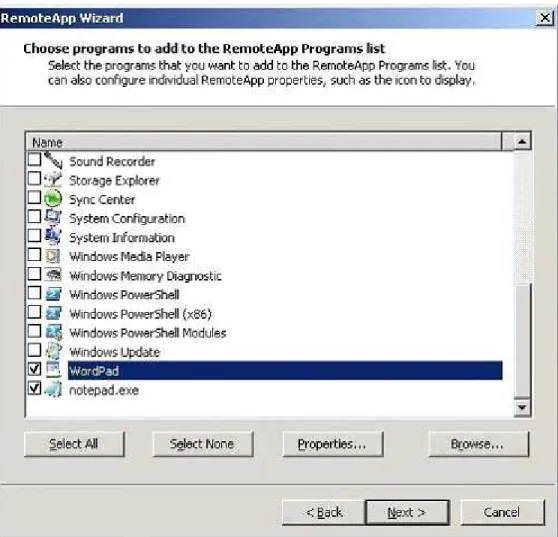 Figure 2 - the RemoteApp Programs Available