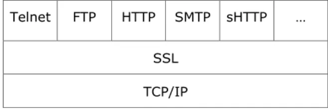 Fig. 1. SSL hierarchical model