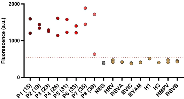Figure  S4 . Sensitivity and Specificity measurements, using clinical COVID-19 and control samples