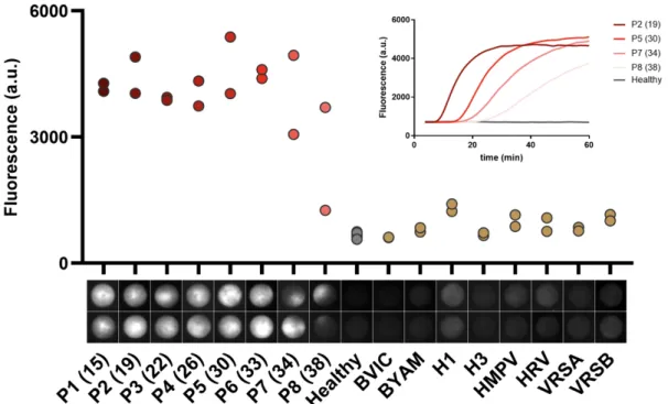 Fig 2. Sensitivity and specificity of the test: Sensitivity and Specificity end point (t=60 min) measurements  obtained  on  SARS-CoV-2  positive  samples  P1-P8  (Cts  in  parenthesis),  negative  samples  (individuals  with  a  negative RT-PCR)and, on th