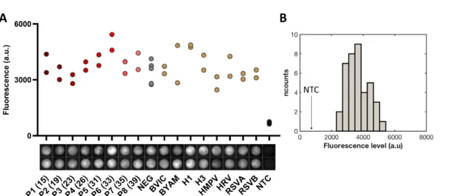 Fig.  S2:  A  –  Human  18S  RNA internal  control  on naso-pharyngal samples:  end  point (t=60  min)  measurements    of  each  internal  control  disks  respectively  corresponding  to  Fig.2  tests  disks