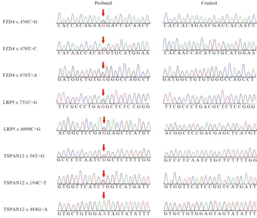 Fig 2. Sequence electropherogram of 8 novel missense variants. 