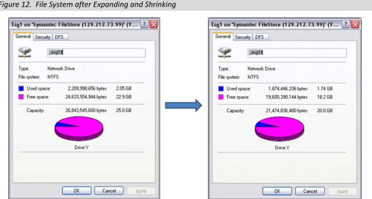 Figure 12.  File System after Expanding and Shrinking 