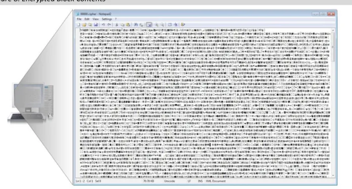 Figure 8. Encrypted Block Contents  