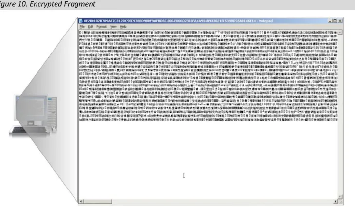 Figure 10. Encrypted Fragment 