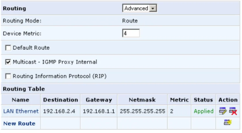 Figure 32: Advanced Routing Properties