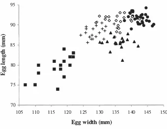 Fig 2.4 129, n = 1 8) and two females in a trio (0 P22, n = 22; + = .A. n = 29; • Egg measurements from three individual breeding females (• 0725, n = 40; 9946, S27A, n = 21) at Colyton, New Zealand, in 1 995