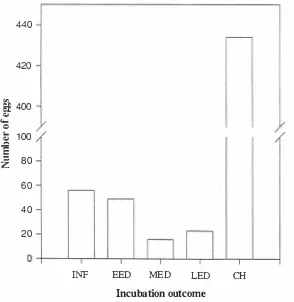 Table 3.2 Embryo measurements of unhatched fertile emu eggs after artificial incubation at 