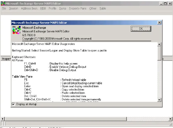 Figure  6:  Microsoft  Exchange  Server  MAPI  Editor