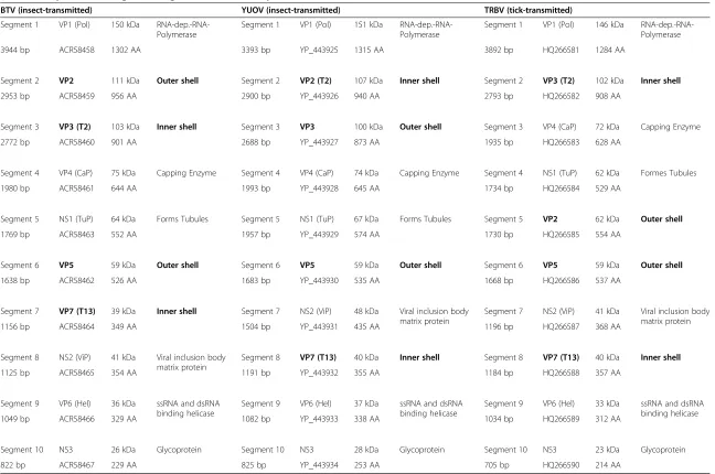 Table 1 Comparison of the genome segments and encoded proteins of BTV, YUOV, TRBV, KEMV and GIV