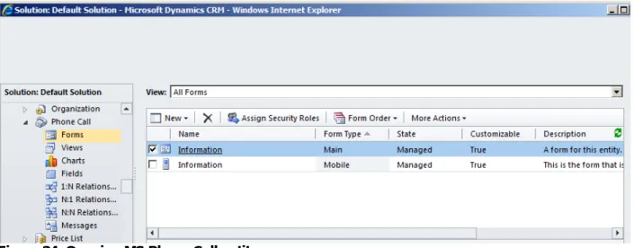 Figure 24: Opening MS Phone Call entity