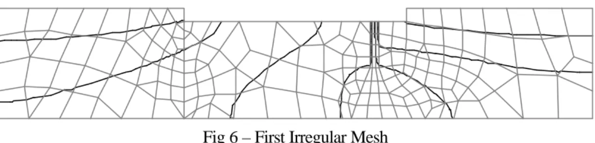 Fig 6 – First Irregular Mesh