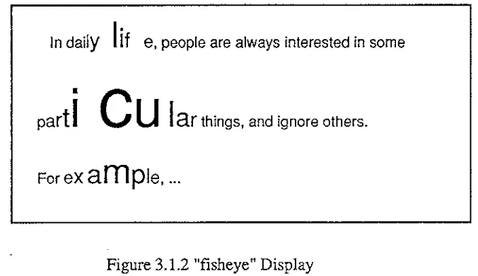 Figure 3.1.2 "fisheye" Display 