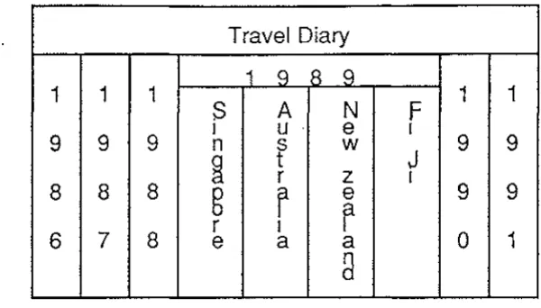 Figure 3.1.3 ""Bifocal"" Display 