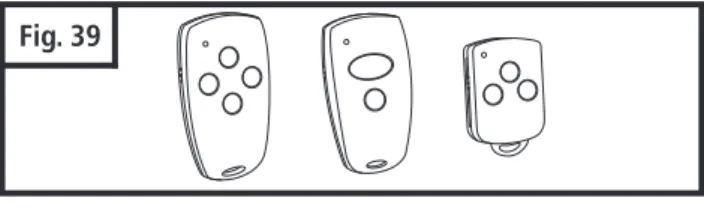 Fig. 42 Coin