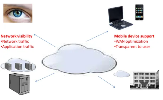Figure  3.  Cloud  Computing  Requirements  for  WAN  Optimization  