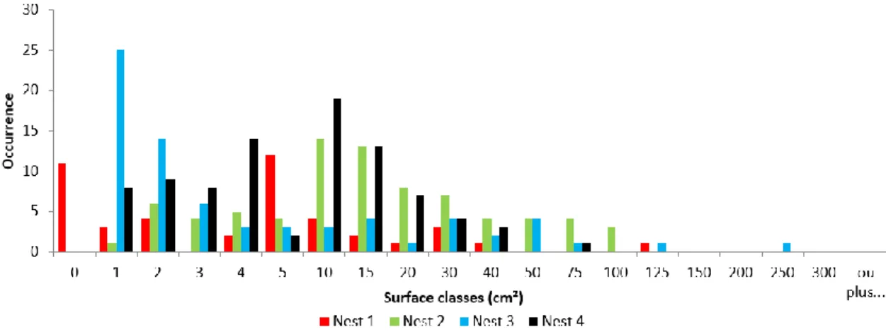 Figure 11. Distribution of plastic particle areas found in Espinero nests. 
