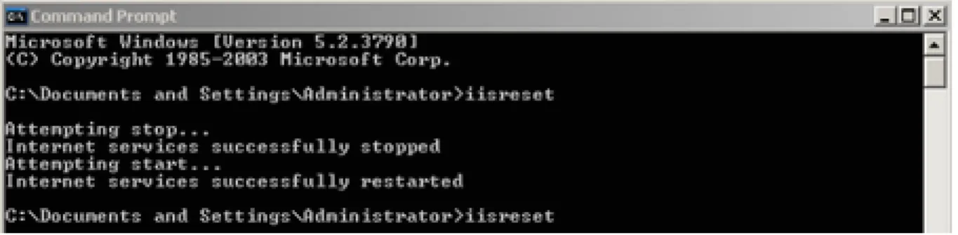 Figure 10: Restarting IIS