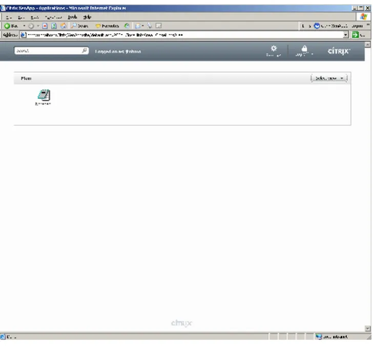 Figure 13: Authenticated to Citrix Web Interface