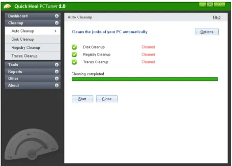 Figure 6-2: Performing Auto Cleanup 