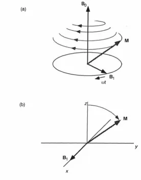 Figure M M (b) The rotating frame evolution of X 2.3: (a) The laboratory frame evolution of the magnetization vector about B0 and Bt