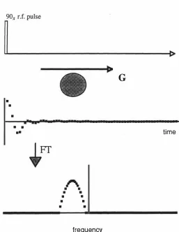 Figure frequency direction of the gradient transforming the time domain signal corresponds to the spin density function projected along the as sample with the gradient direction 3.1: Diagram showing the NMR time domain signal acquired for a uniform cylindr