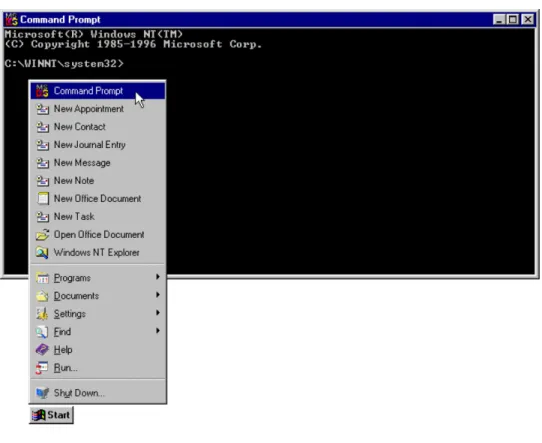 Figure 11. Open a DOS window to start the process of obtaining a license for 3D Lightyear software.