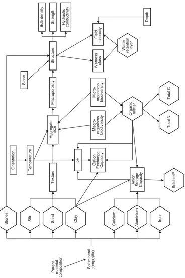 Figure 2-3: Simplified relationships between some soil components (hexagons) and properties (rectangles)