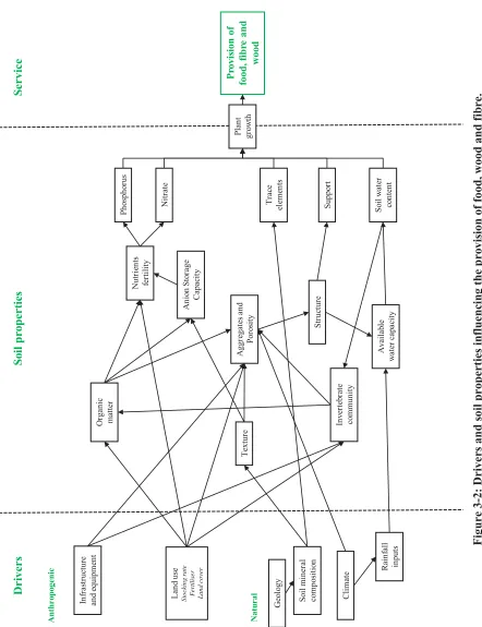 Figure 3-2: Drivers and soil properties influencing the provision of food, wood and fibre