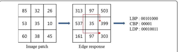 Figure 1 Example of binary pattern.
