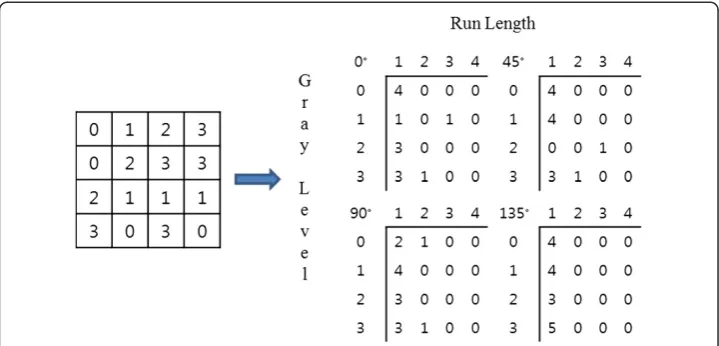Figure 2 Example of GLRLM for the principal directions.