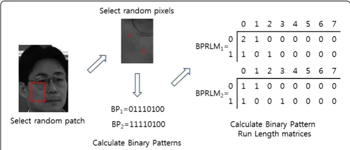 Figure 3 Example of binary pattern run length matrices.
