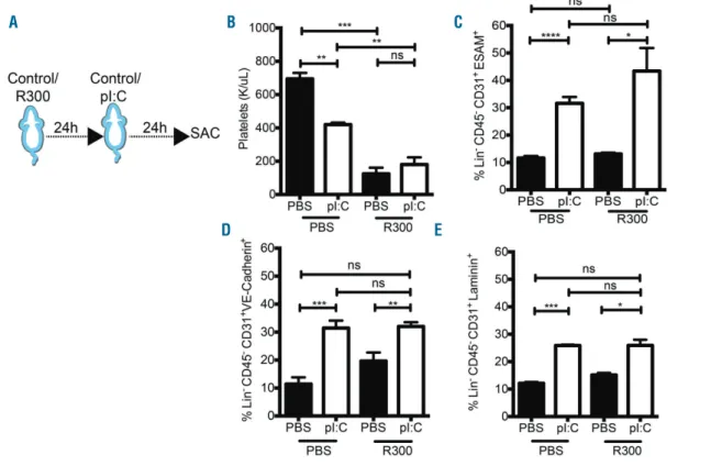 Figure 5. The IFN mimetic-, pI:C, mediated bone marrow (BM) endothelial cell (EC) stimulation is not affected by platelet abrogation