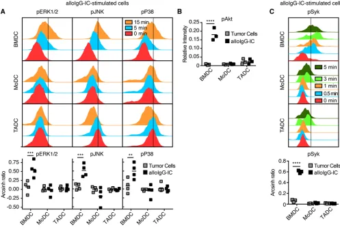 Figure 4. Phosphorylation of Syk after FcγpJNK levels in BM-derived DC (BMDC), blood monocyte-derived DC (MoDC), and tumor-associated DC (TADC) incubated with tumor cells or with C57BL/6 allogeneic IgG-LMP tumor cell immune complexes (alloIgG-IC) for 0, 5,