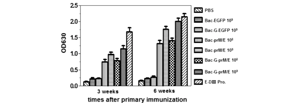 Figure 3 WNV-specific ELISA antibody titers in mice immunized with recombinant baculoviruses