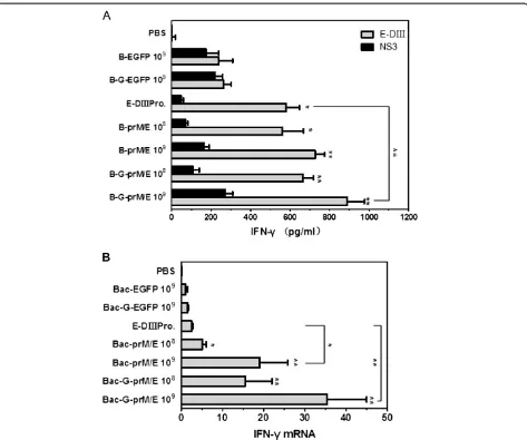 Figure 4 IFN-**,harvested from immunized mice afterRelative quantity of IFN-bars in graph denote the mean relative quantity of IFN-γ responses induced by immunization with recombinant baculoviruses
